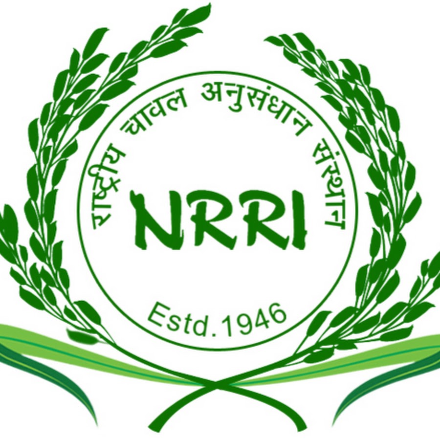NRRI Recruitment 2022 | NRRI Senior Research Fellow Vacancy 2022 | Latest Job Openings For Freshers 2022